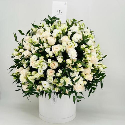 8859-819 - Image 1