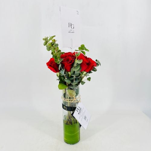 3634 - صورة 2