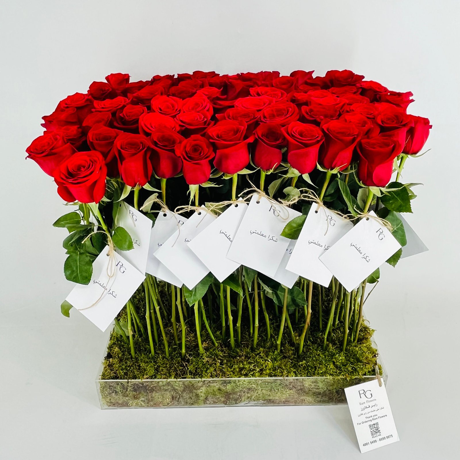 13909 - Image 4