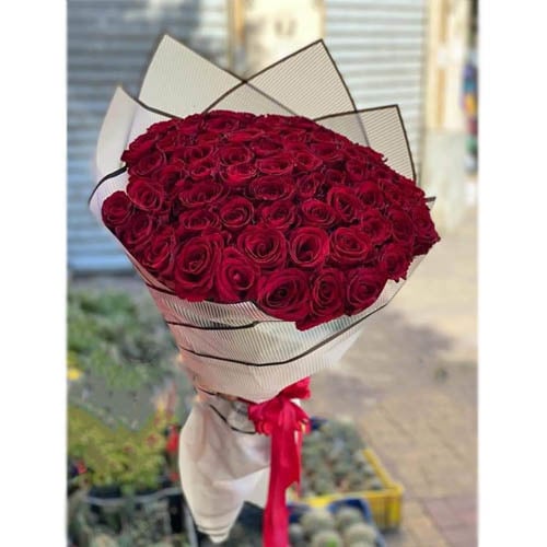 1013 - صورة 1