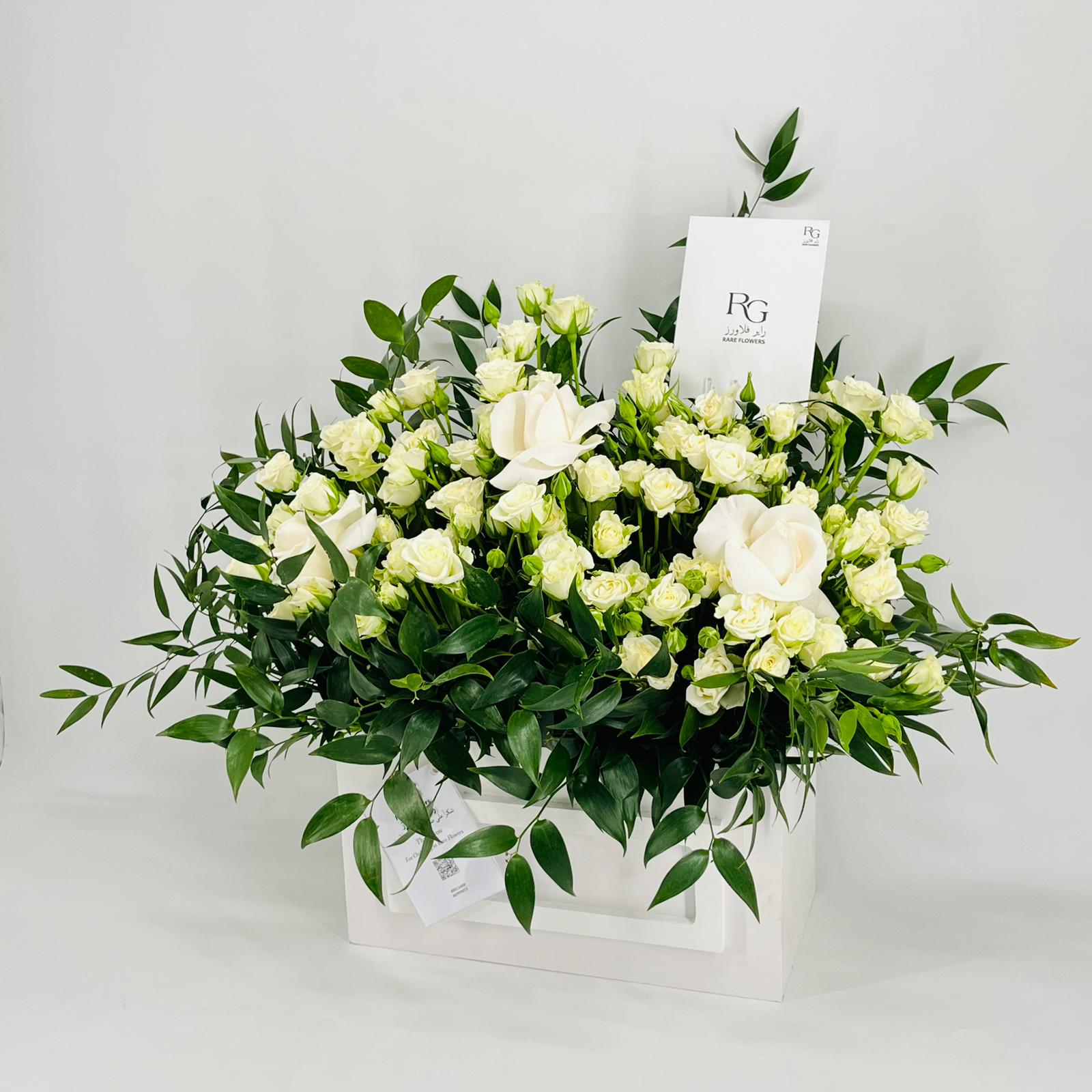 8724 - صورة 3