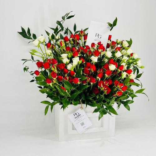 8627N - صورة 2