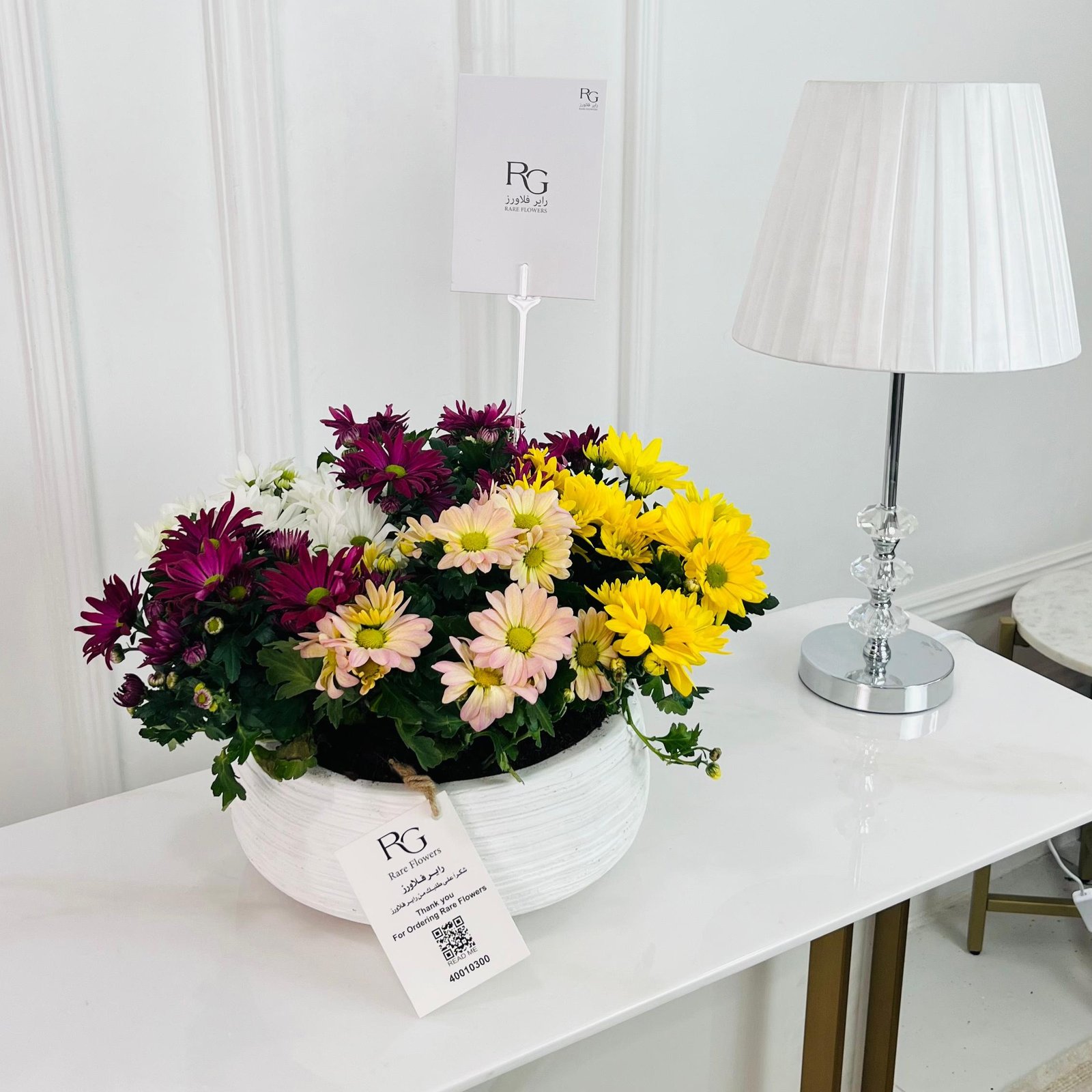 Chrysanth Mix Plant No.16731 - Image 1