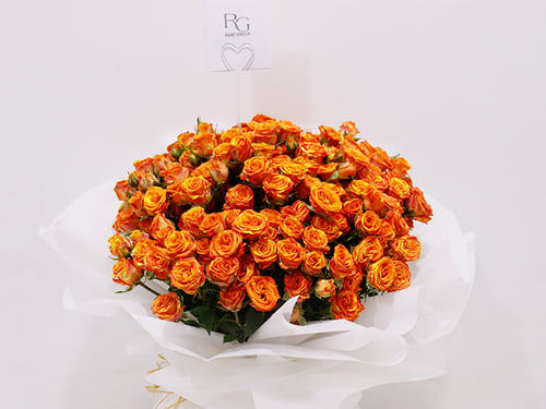 0076 - صورة 2