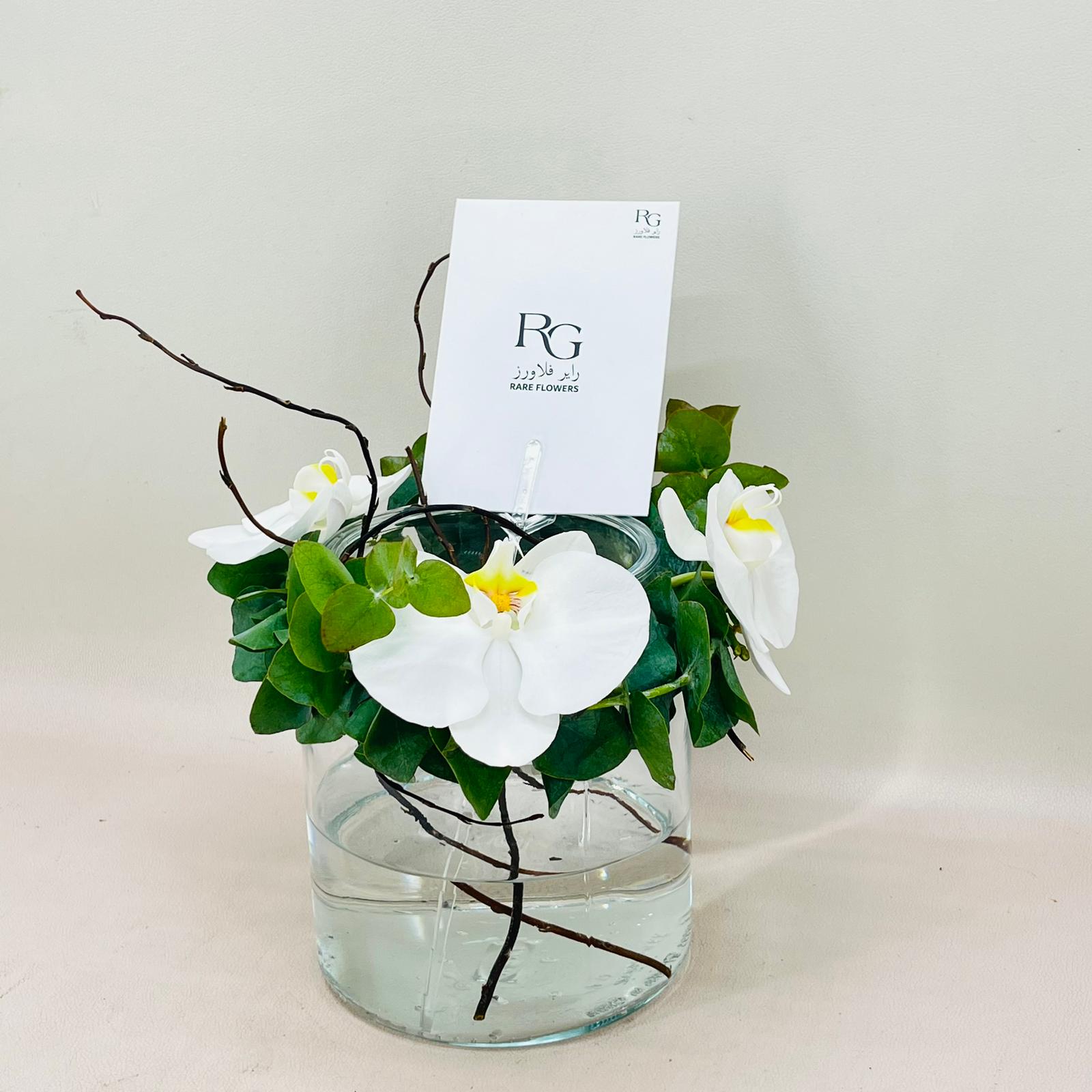 8196 - Image 2