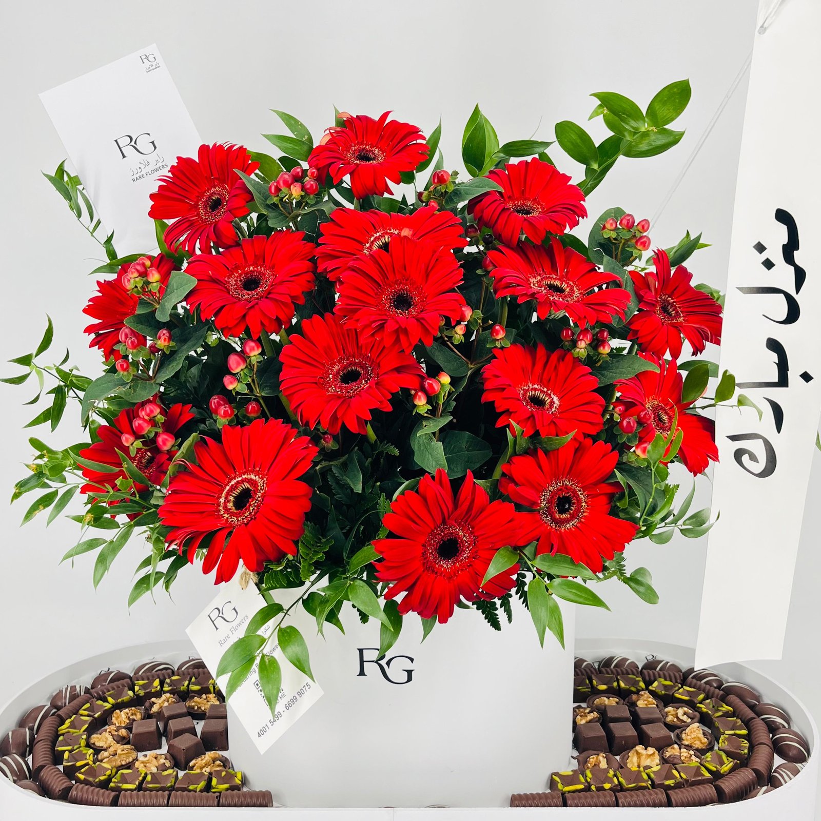 13507 - Image 3