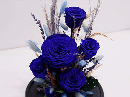 3779 - صورة 2