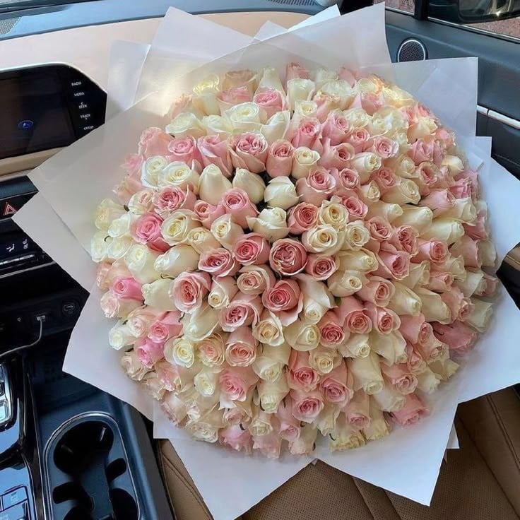 18119 - صورة 1