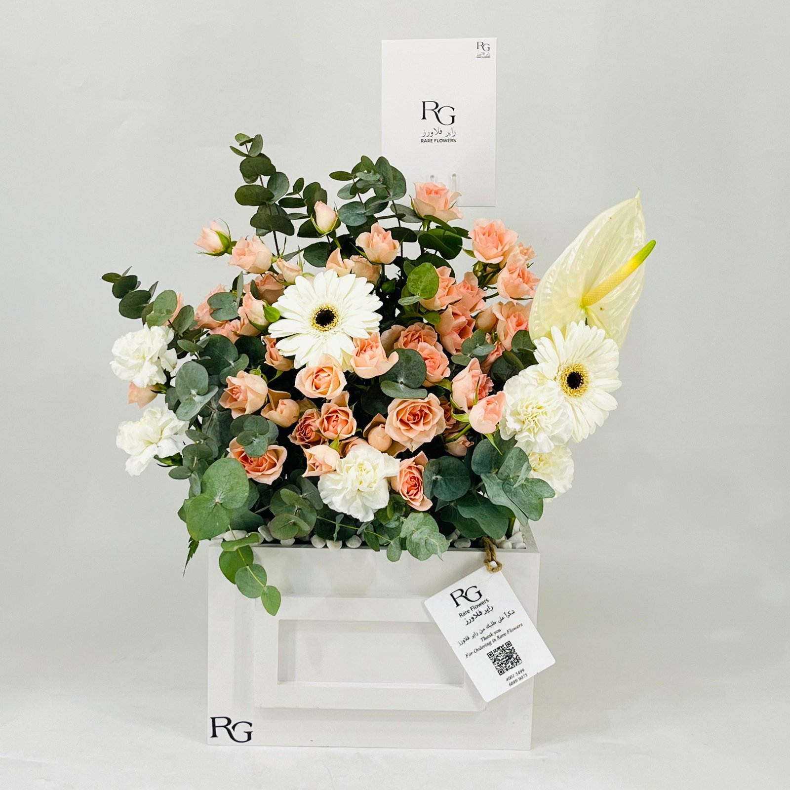 11756 - Image 1