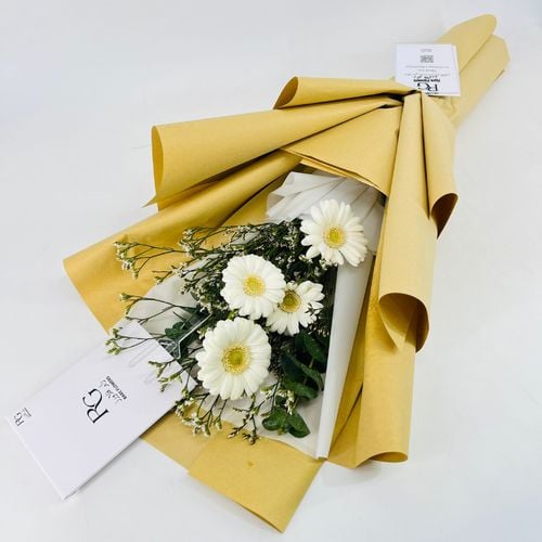 5631 - صورة 2
