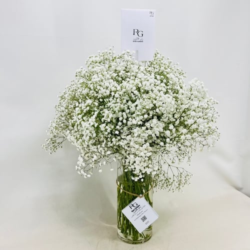 2610 - Image 2