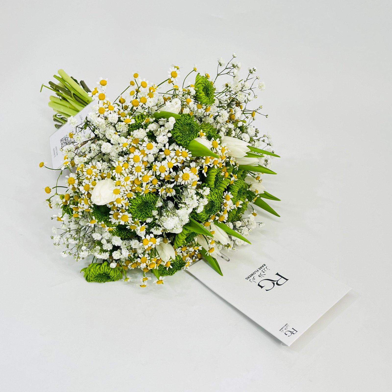 10907 - Image 1