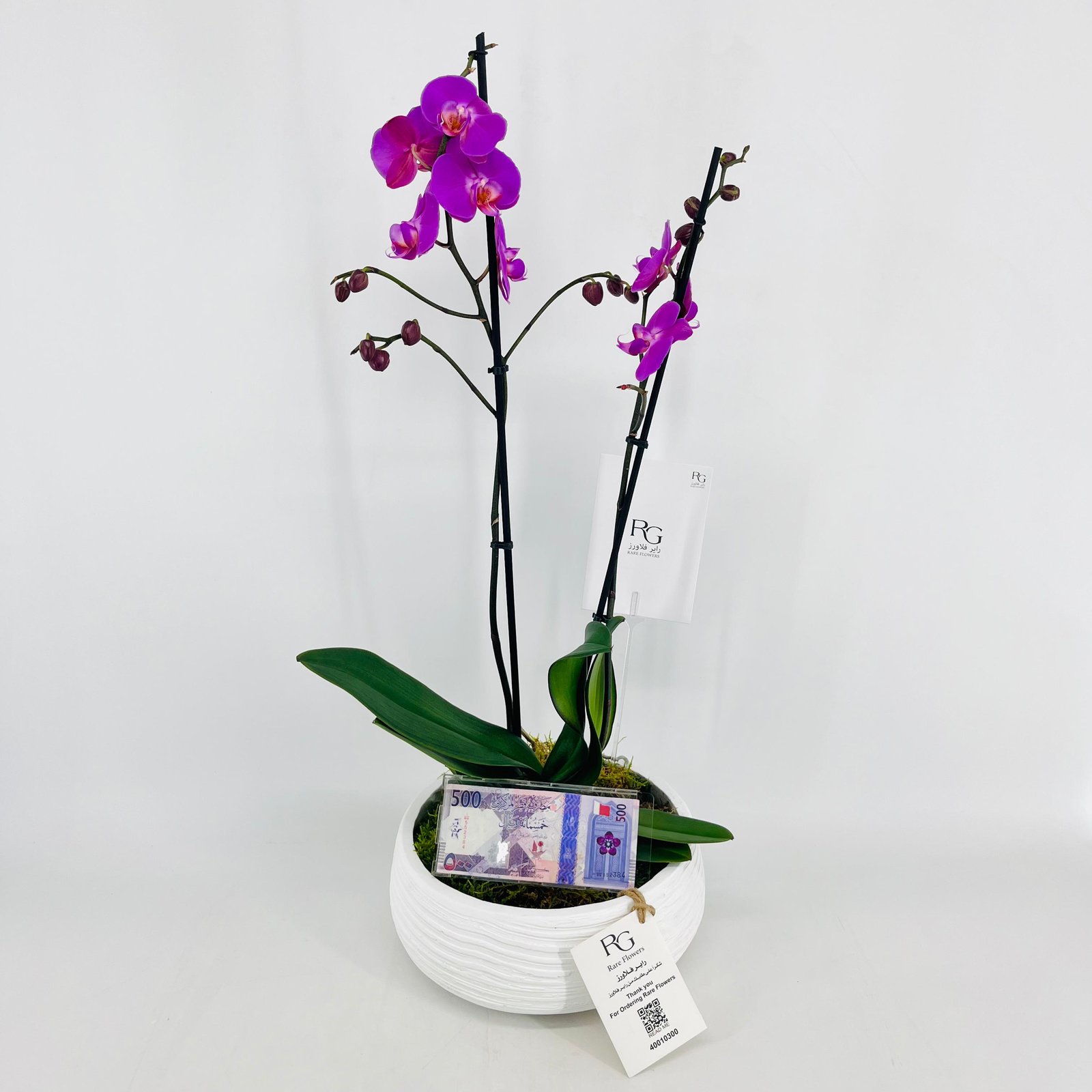 15378 - Image 3