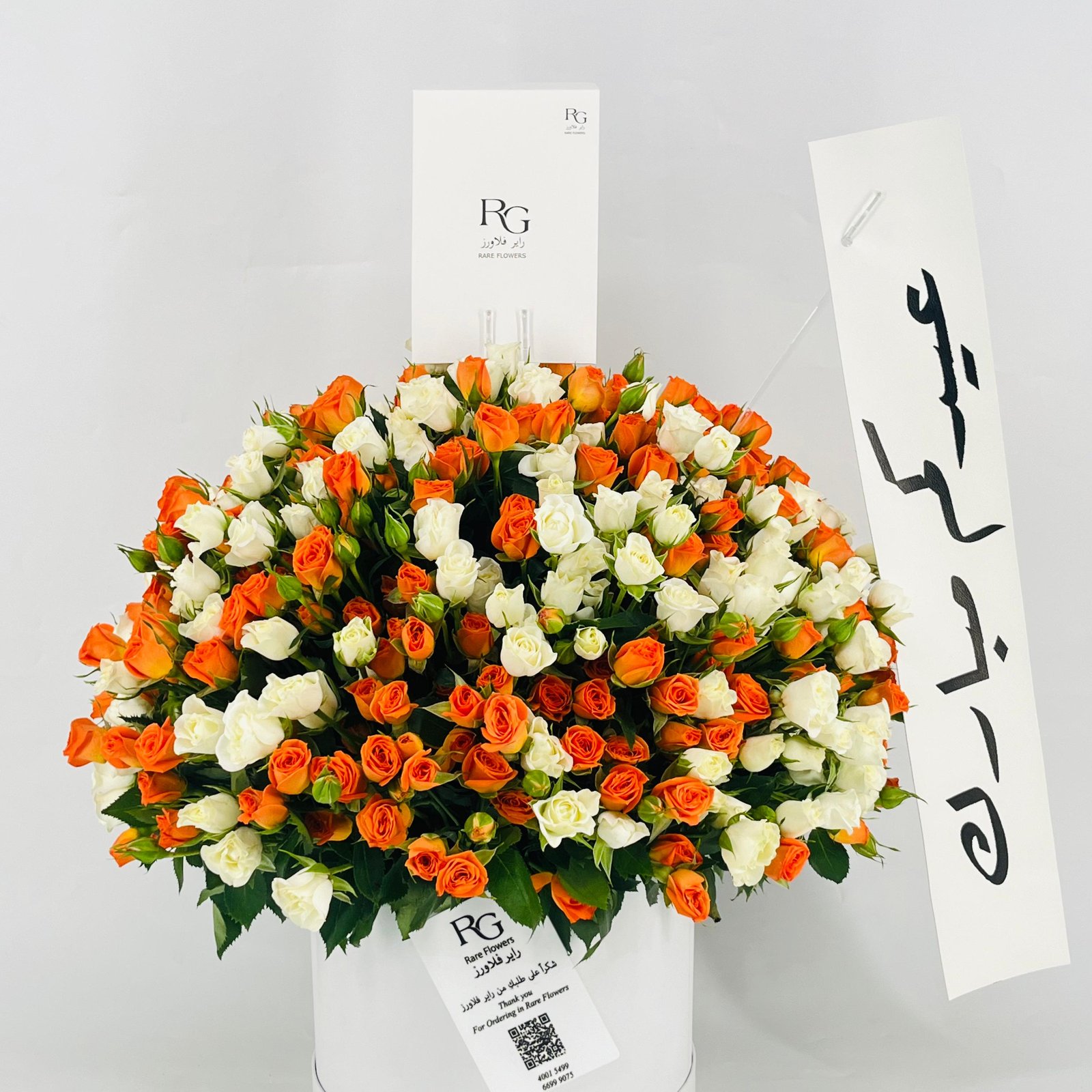 12771 - صورة 3