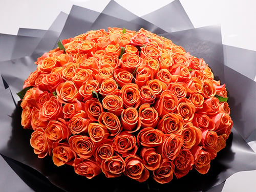 3411 - صورة 2