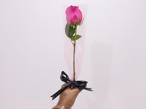 0041 - صورة 3