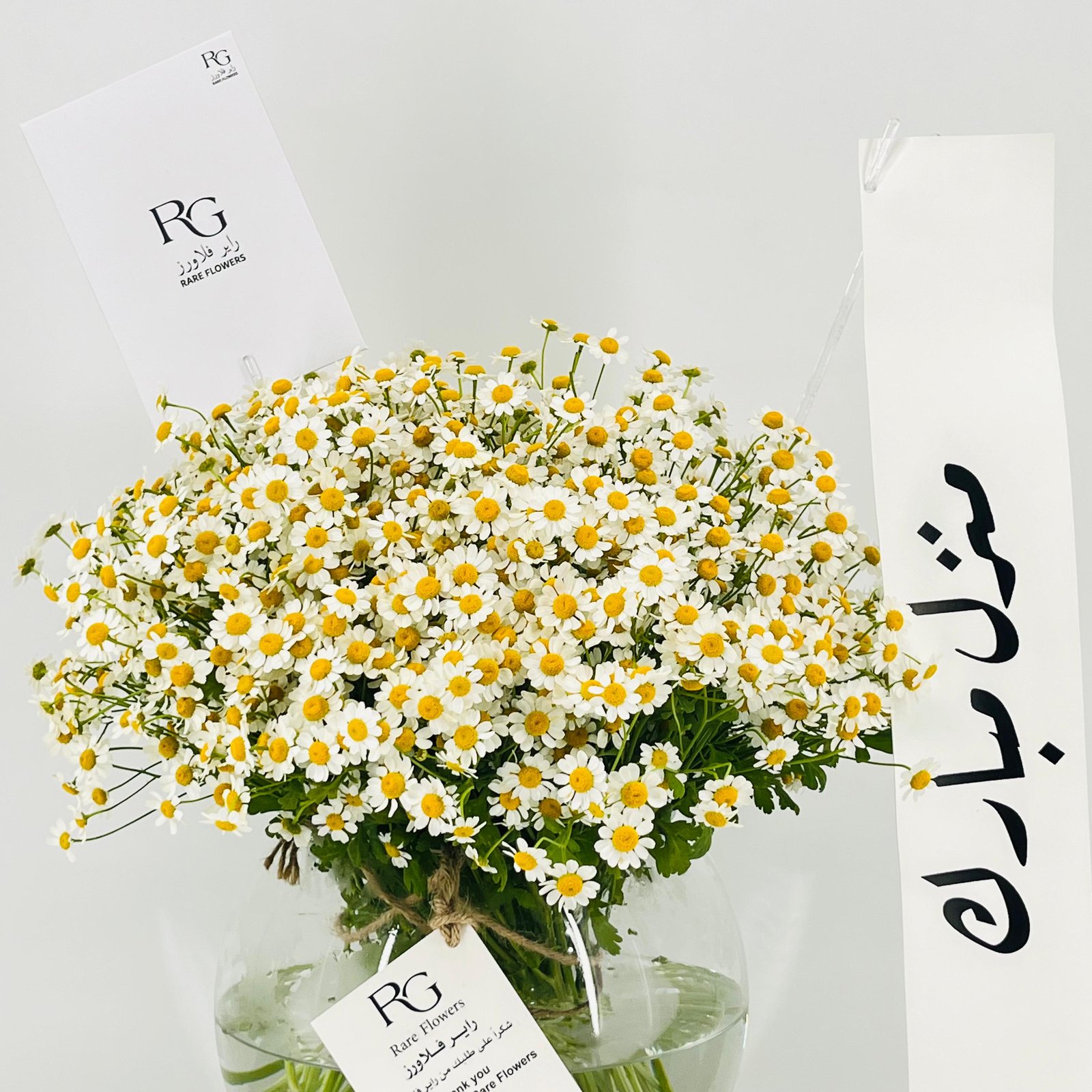 13583 - صورة 5
