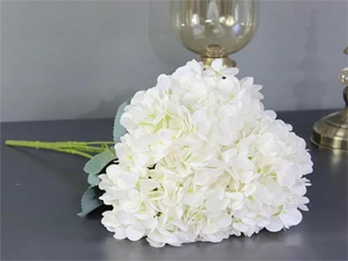 4288 - صورة 1