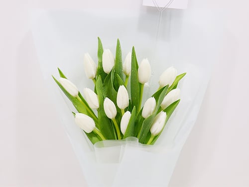 3355 - صورة 2
