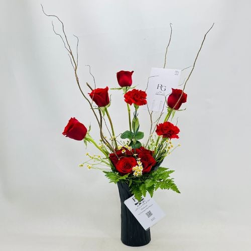 4867 - صورة 1