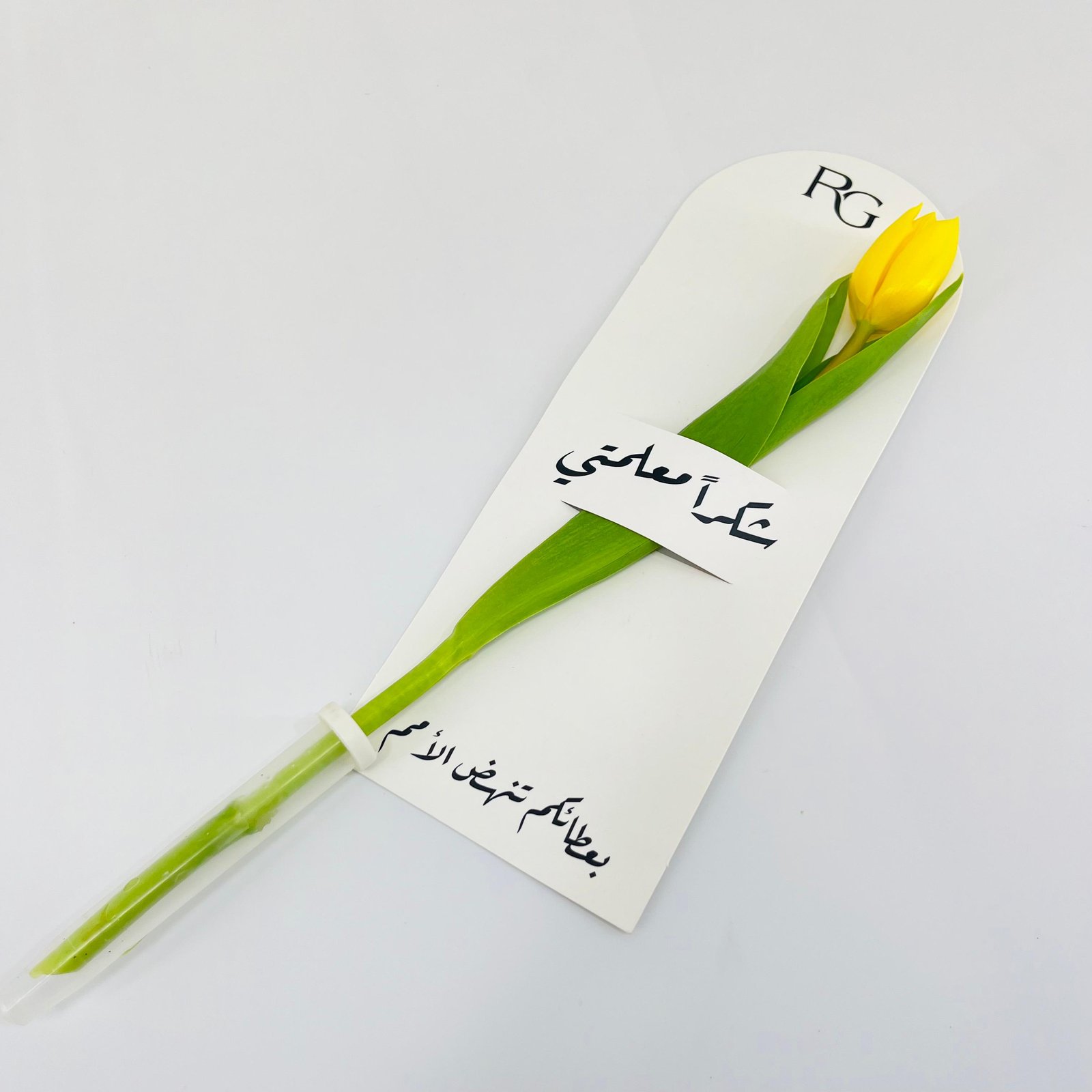14059 - Image 2