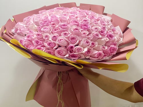 4258 - صورة 1