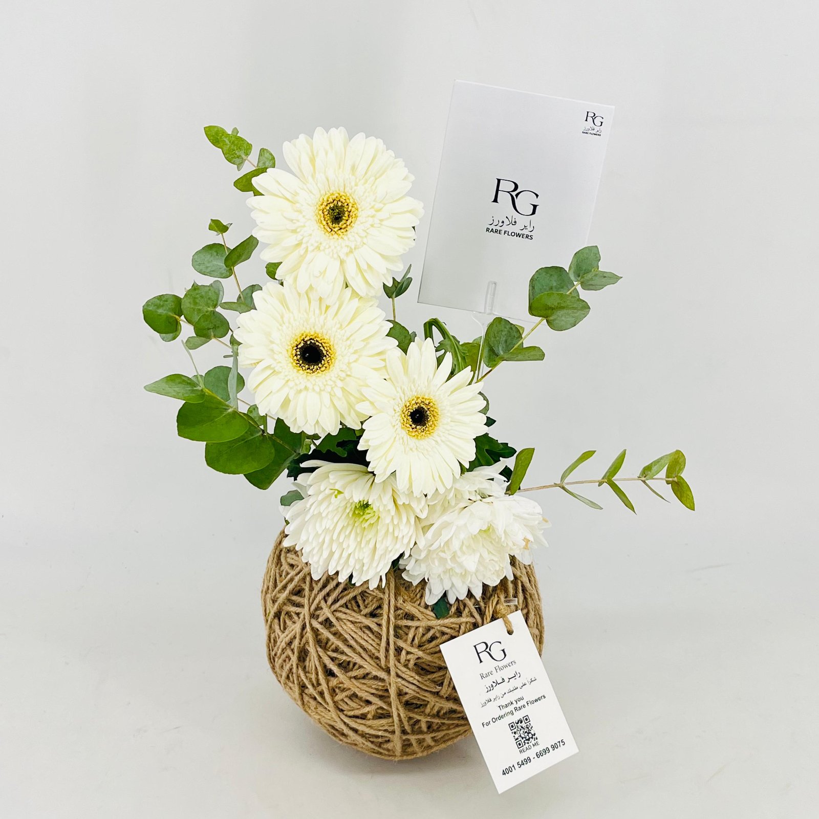 13676 - Image 2