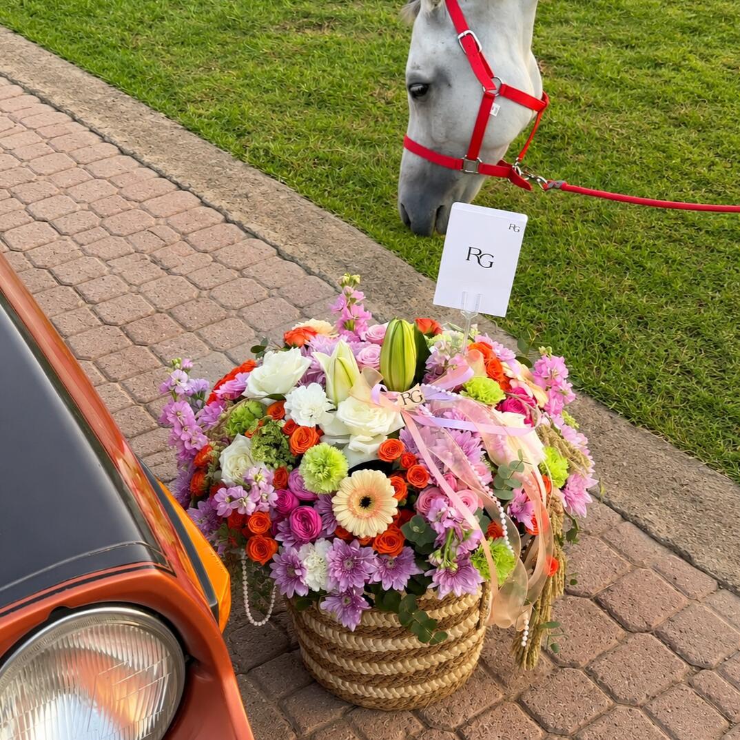 28517 - صورة 1