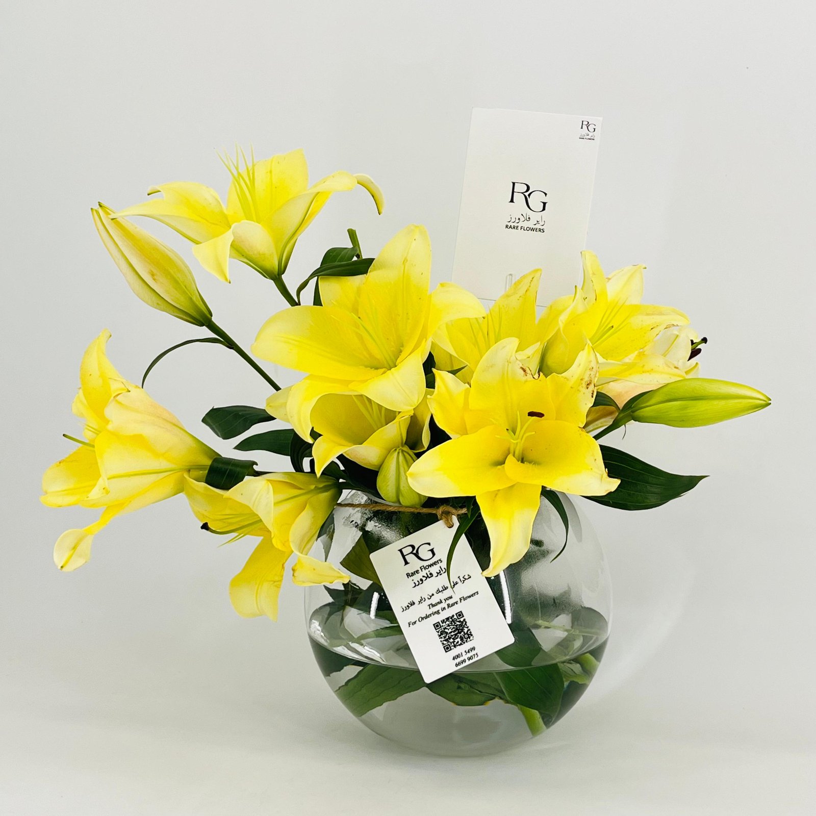 12813 - صورة 2