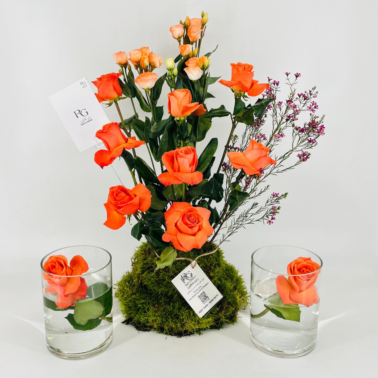 13293 - Image 5