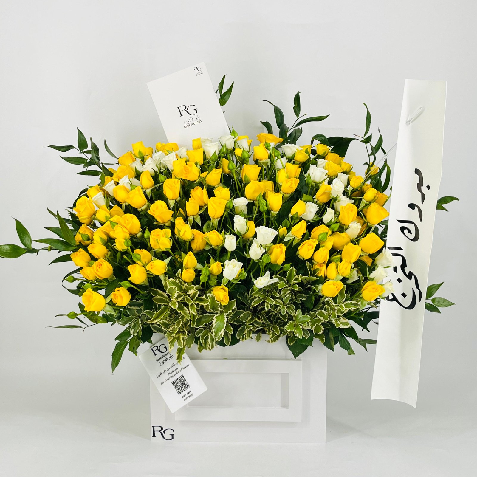 12324 - Image 1