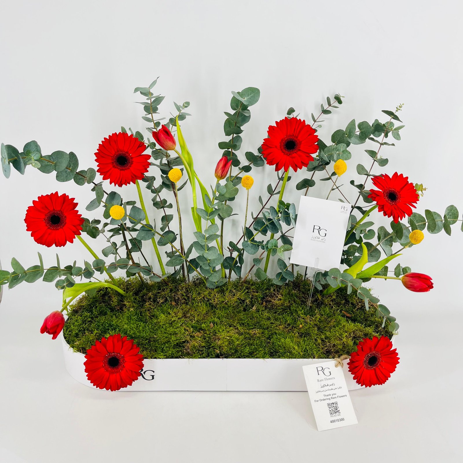 15437 - Image 2