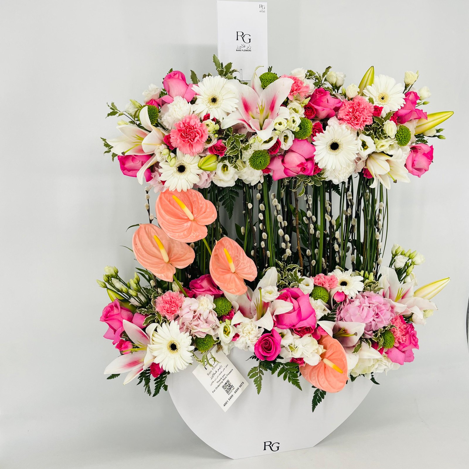 13520 - صورة 2