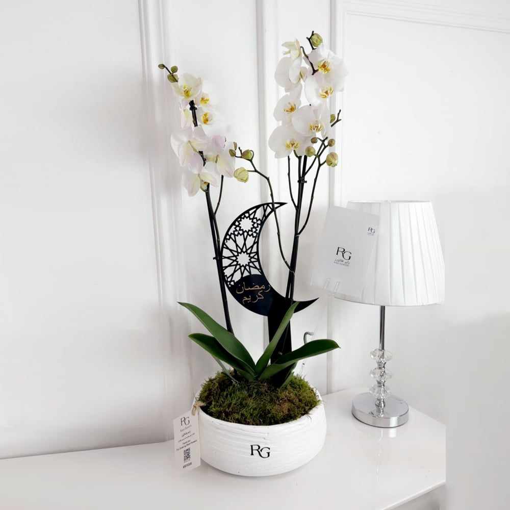 16495 - Image 1