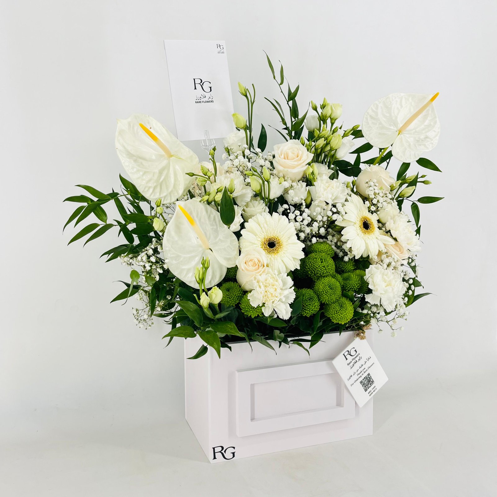13844 - صورة 2