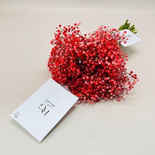 989 - صورة 2