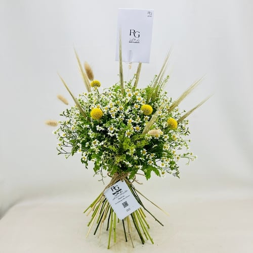 3694 - Image 1