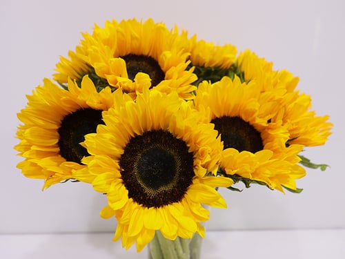 3353 - صورة 2