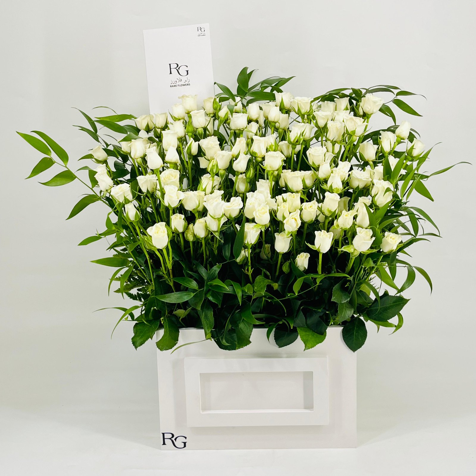 9933 - Image 1