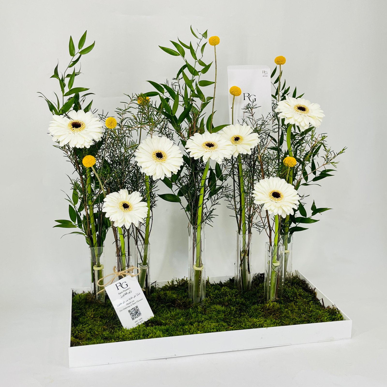 11587 - Image 2