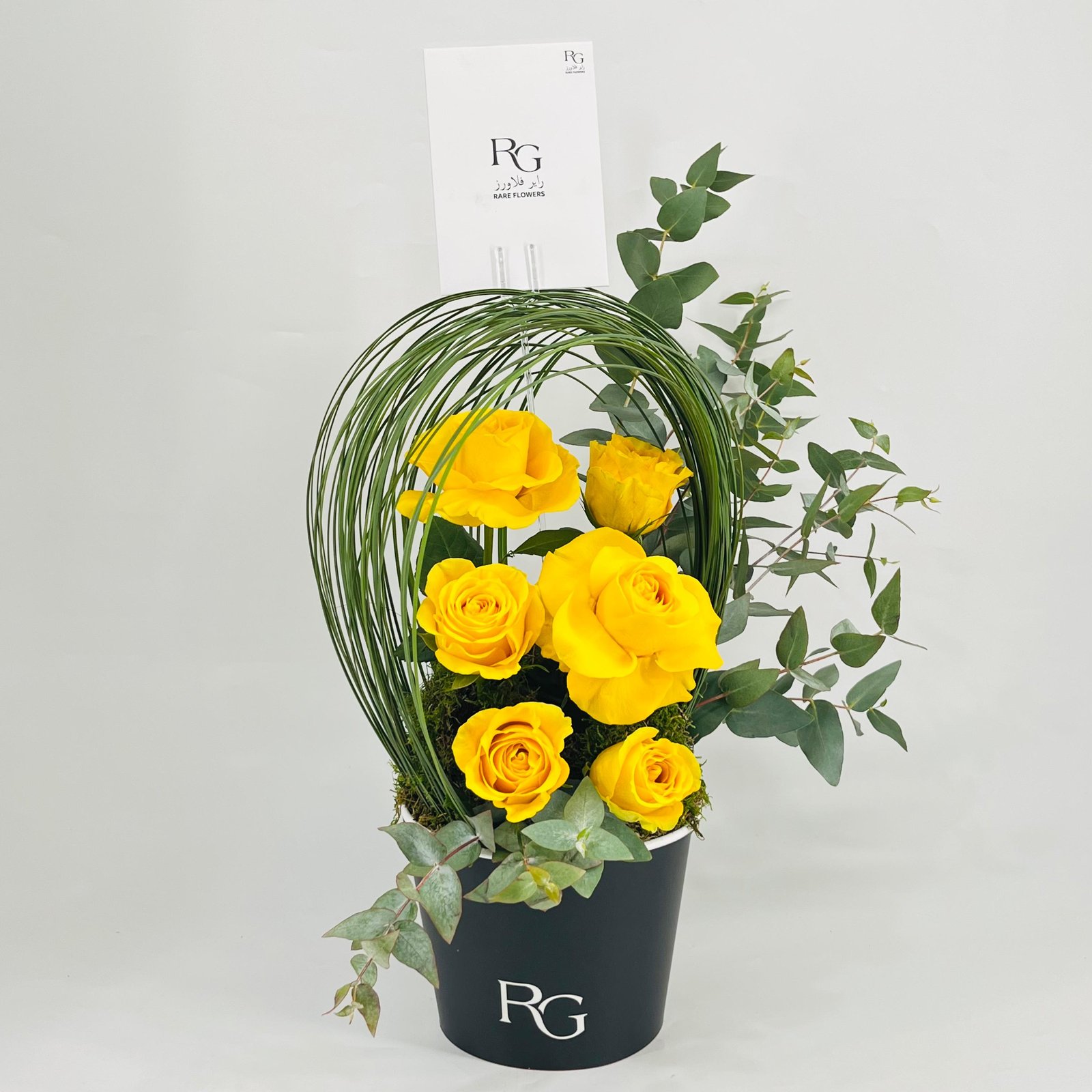 9927N - صورة 1