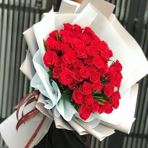 2338 - صورة 1