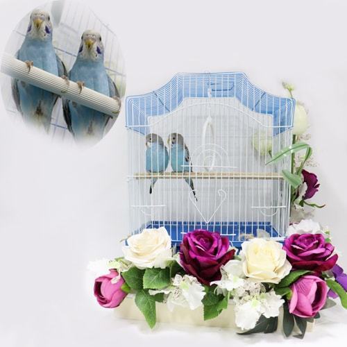 زوجان من طيور الببغاء مع زهور صناعية ملونة.04-61 - صورة 1