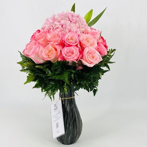 4865 - صورة 2