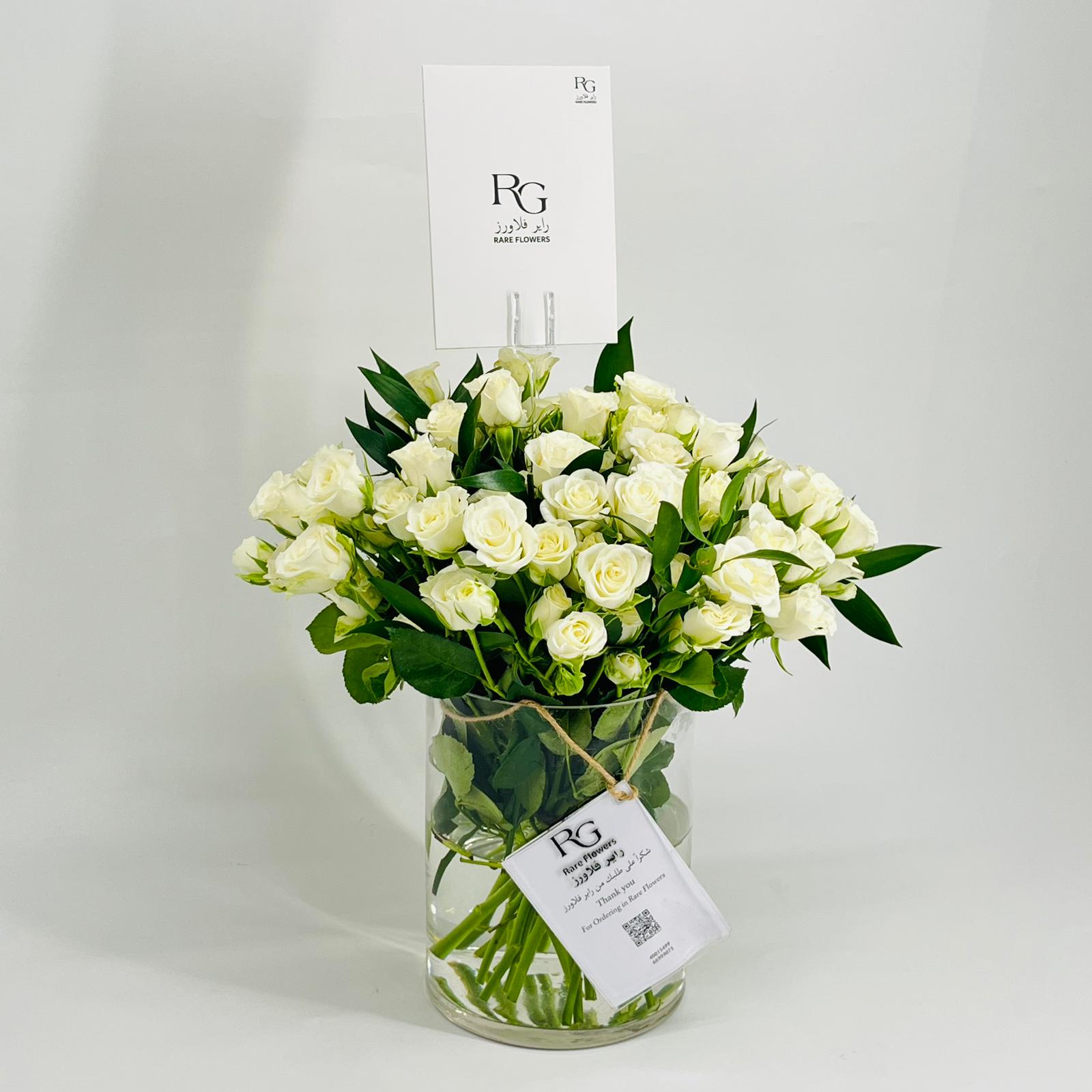 8701 - Image 2