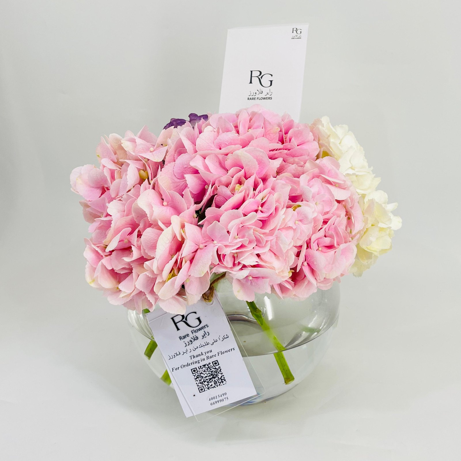 10262 - Image 3