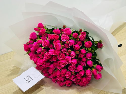 1411 - صورة 2
