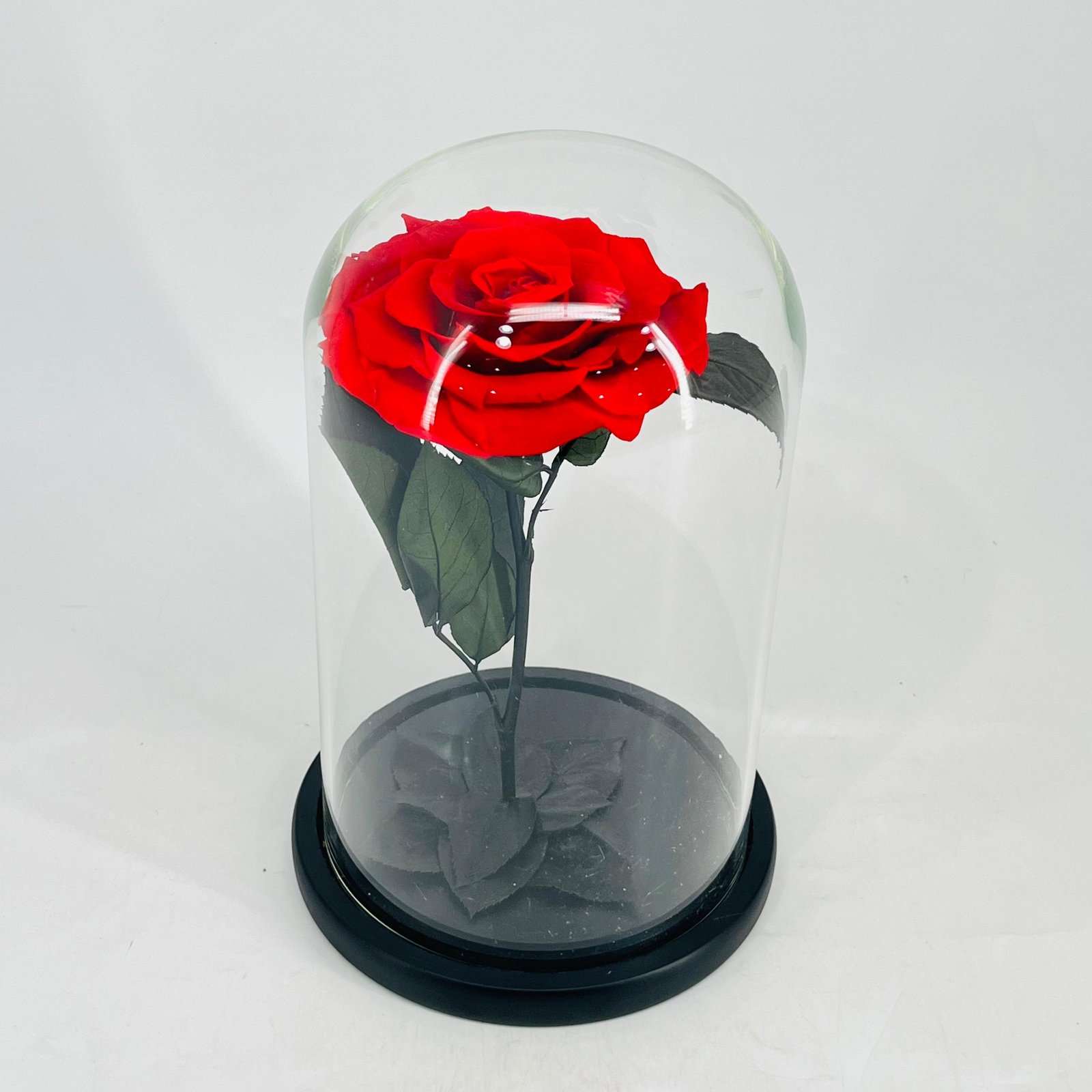 11238 - Image 1