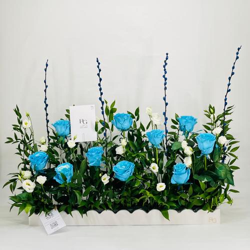 9851 - صورة 1