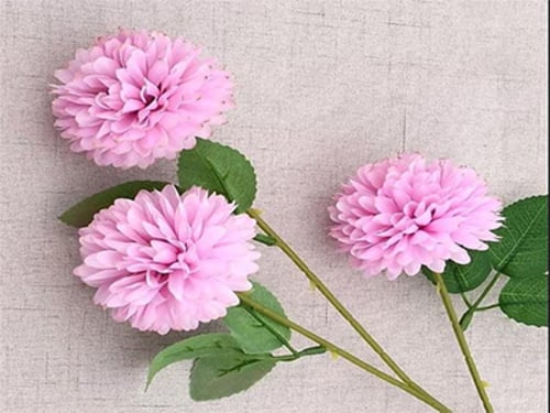 4297 - صورة 1